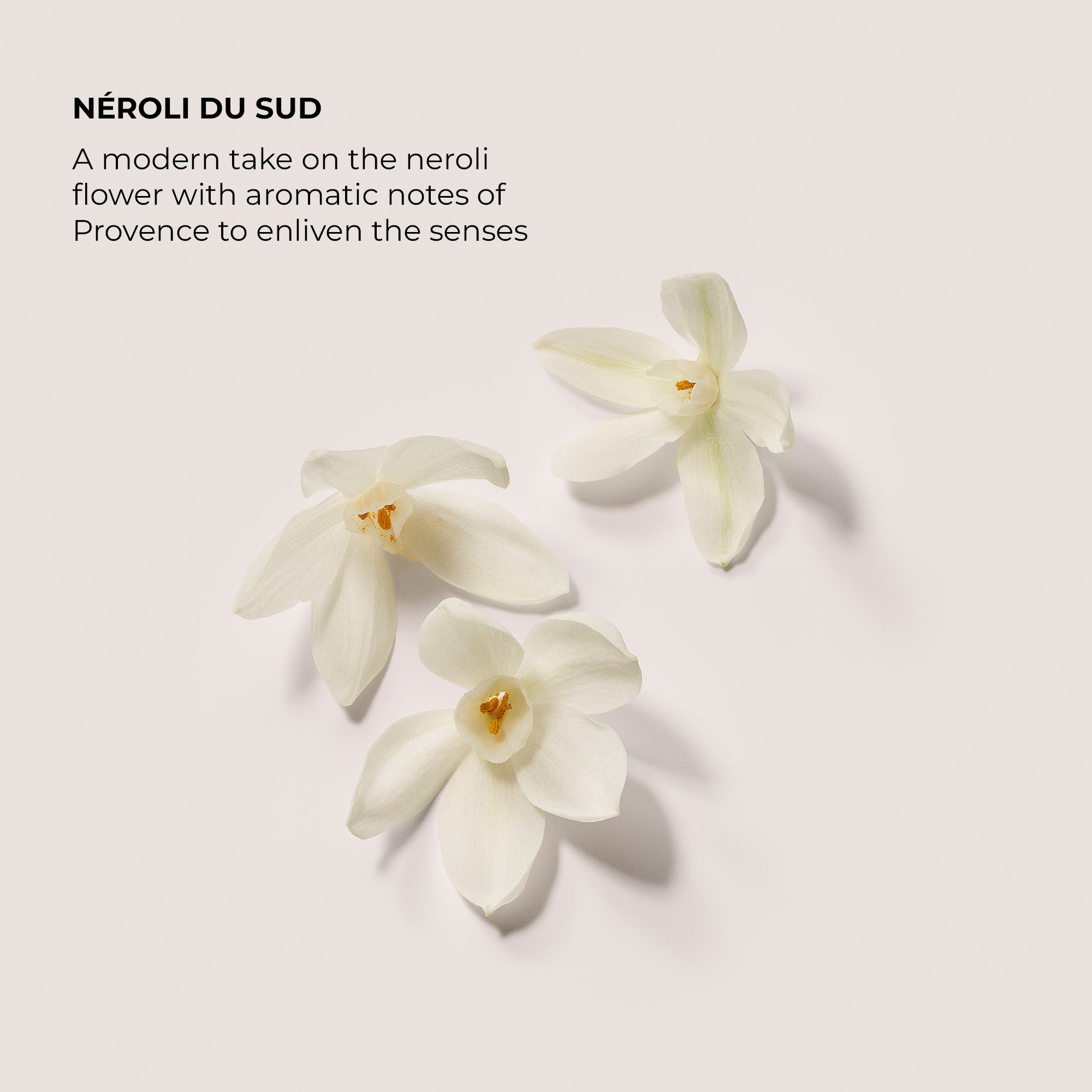Néroli du Sud Eau de Parfum View 2